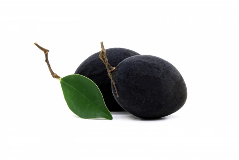 10 Different Types of Fruit That Starts With X Things That Start With AZ