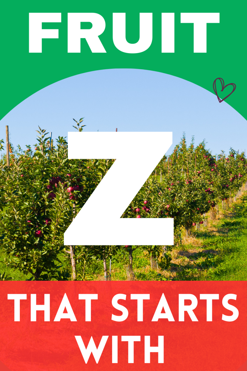 Fruit That Starts With Z